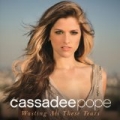 Wasting All These Tears by Cassadee Pope