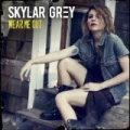 Wear Me Out by Skylar Grey