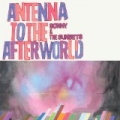 Antenna To The Afterworld by Sonny and the Sunsets