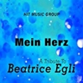 Mein Herz - A Tribute to Beatrice Egli by Hit Music Group