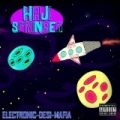 Electronic Desi Mafia by Haji Springer