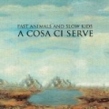A cosa ci serve by Fast Animals and Slow Kids