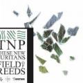 Field of Reeds by These New Puritans