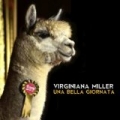 Una bella giornata by Virginiana Miller