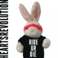 Ride or Die by Heartsrevolution