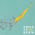 Supersoaker by Kings Of Leon