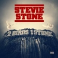 2 Birds 1 Stone [Explicit] by Stevie Stone