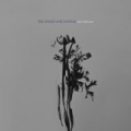 Hearts Like Ours by The Naked And Famous