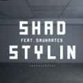 Stylin (feat. Saukrates) by Shad