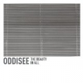 The Beauty in All by Oddisee