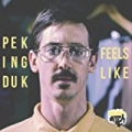 Feels Like by Peking Duk