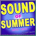 Sound of Summer 2012 - 2013 (Incl. Let Her Go, Back in Time, Call Me Maybe, Whistle, Good Time, I Will Wait, Payphone, One More Night) by DJ Party Giants