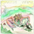 I Never Meant It To Be Like This by Cumulus