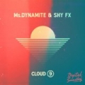Cloud 9 by Ms Dynamite & Shy FX