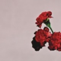 Love In The Future by John Legend
