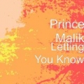 Letting You Know by Prince Malik
