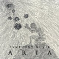 Aria by Symphony Novel