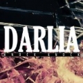 Queen Of Hearts by Darlia