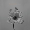 In Rolling Waves by The Naked And Famous