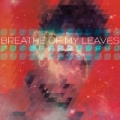 Pangeometrica by Breathe of My Leaves