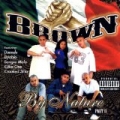 Brown by Nature - Part II by Various artists