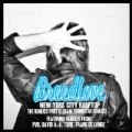 New York City Rooftop (The Remixes Pt. 2) [Team Youngstar Remixes] by Breedlove