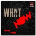 What Now by Gemini Wired