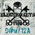 Electro Keys C#m/12a Vol 2 by Various Artist