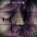 Final Tears Falling by Reog