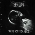 You're Not from Here by Senium