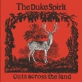 Cuts Across the Land by The Duke Spirit
