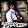 Underboss [Explicit] by Brabo Gator