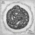 When The Fire Is Dead in the Grate by Wolf People