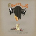 Hymns For a Dark Horse by Bowerbirds