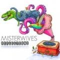 Reflections by MisterWives