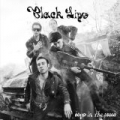 Boys in the Wood by Black Lips