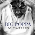 I'm Hurtin [Explicit] by Big Poppa