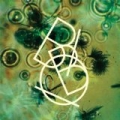 The Green EP by Bibio