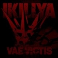 Vae Victis by Ikillya