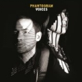 Voices [+digital booklet] by Phantogram
