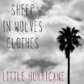 Sheep In Wolves Clothes by little hurricane