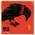 Prisoner by Birth Of Joy