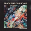 There Is Nowhere by Blackbird Blackbird