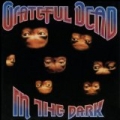 In The Dark by The Grateful Dead