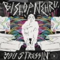 You Stressin' - Single by Bishop Nehru