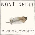If Not This, Then What by Novi Split