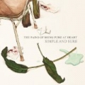 Simple and Sure by The Pains Of Being Pure At Heart