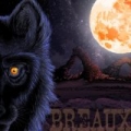 Black Wolf by Breaux