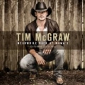 Meanwhile Back At Mama's by Tim McGraw