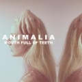 Mouth Full of Teeth [Explicit] by Animalia